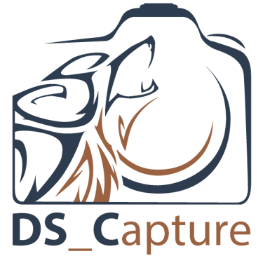 DS_Capture logo