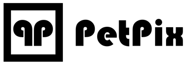 PetPix | Pet Photography Hertfordshire logo