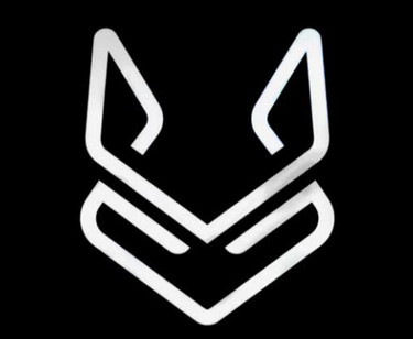 WhiteFox - Physiotherapy logo
