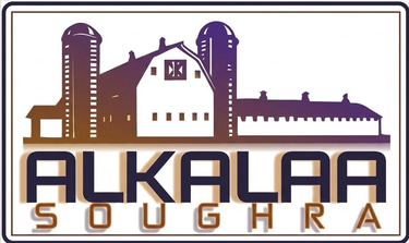 AlQala'a AlSoughra logo