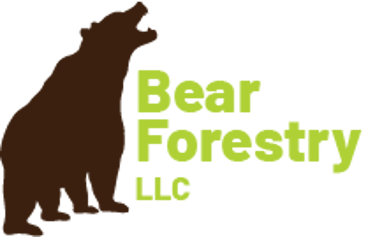 Bear Forestry LLC logo