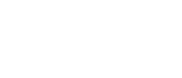 LIONZ DEL TERREO A TU HOGAR IDEAL logo