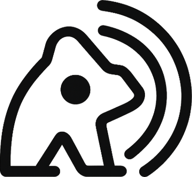 Bernasconi Consulting Training logo