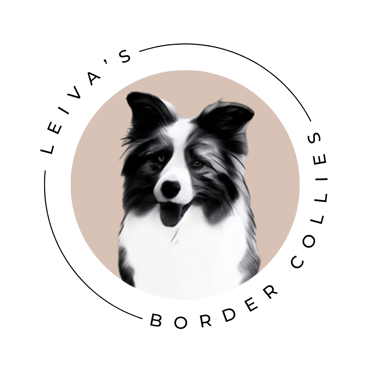 Leiva's Border Collies logo