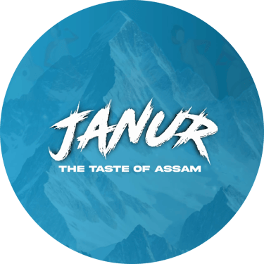 JANUR STORE logo