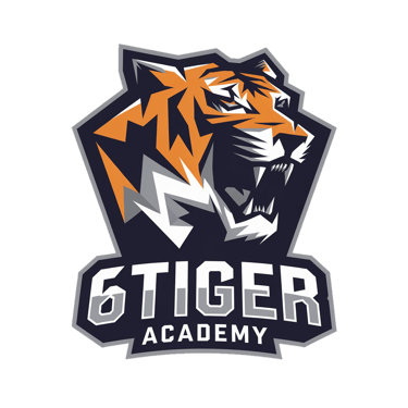 6Tiger Academy logo