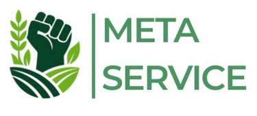 metaserv logo