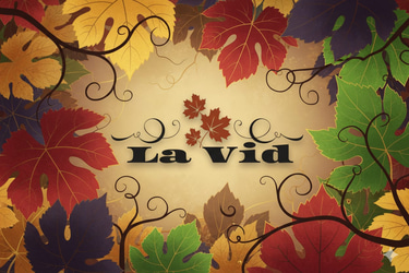 LAVIDCAMISETAS.COM logo