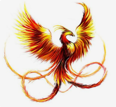 Phoenix Quality and Regulatory Consulting logo