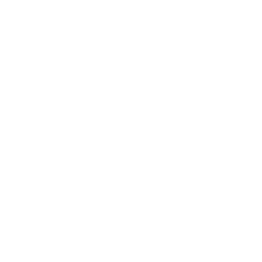 Ide Instituto logo