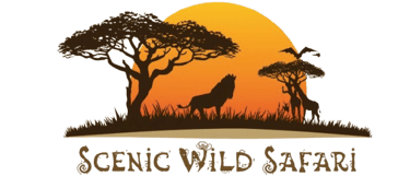 Jambo Maasai Tours logo