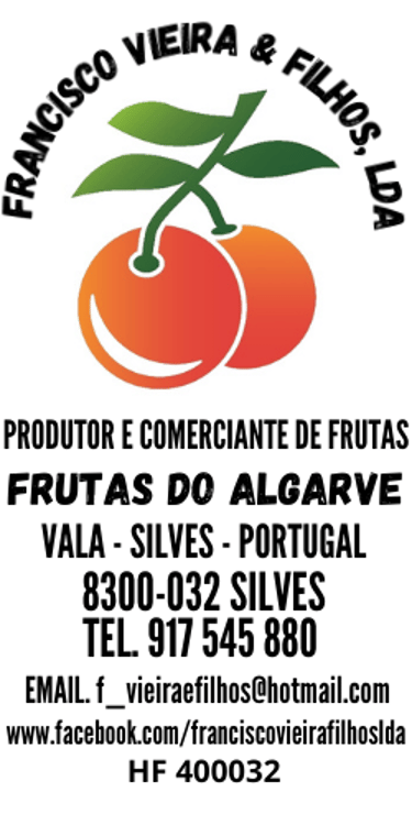 Francisco Vieira & Filhos, LDA. logo