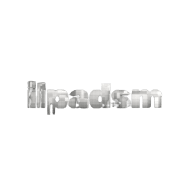 ilpadsm logo