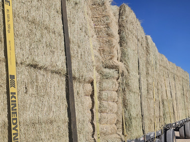 Luna Cattle and Hay Barn logo