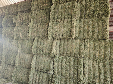 Luna Cattle and Hay Barn logo