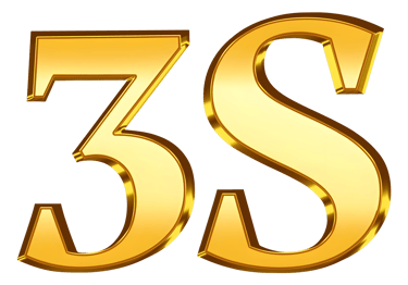 3S Trade logo