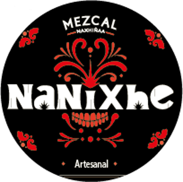 Nanixhe logo