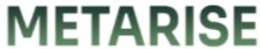 MetaRise™ logo