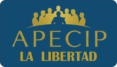 APECIP logo