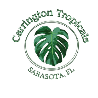 carrington tropicals logo