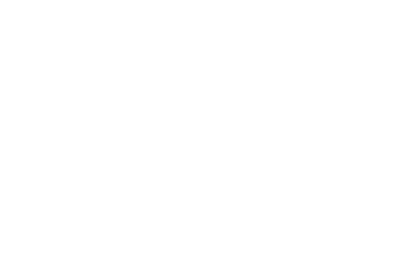 Nortiq logo