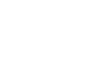 SNF MÉXICO logo