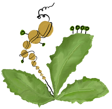 Epigenome diversity logo