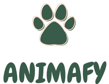 Animafy logo