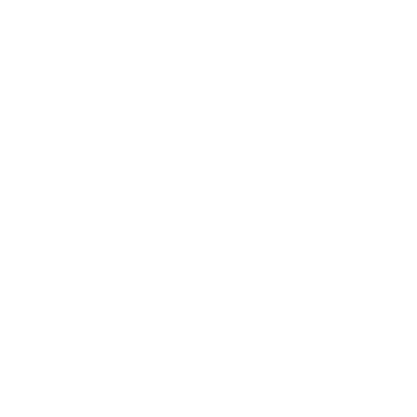 mindspeed your business logo