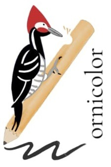Ornicolor – Draw, Nature & Birding in Puebla logo