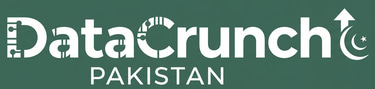 Data Crunch Pakistan logo