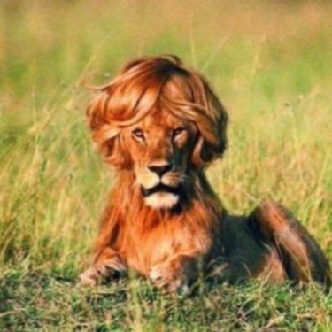 guiapraticodoeletricista logo