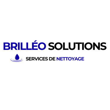 Brilléo Solutions logo