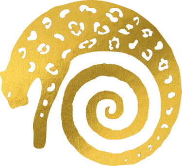 Macondo Project logo