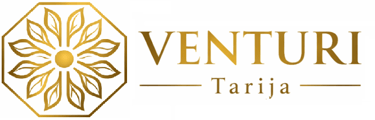Hotel Venturi logo