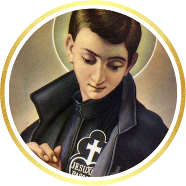 Paróquia São Gabriel da Virgem Dolorosa logo