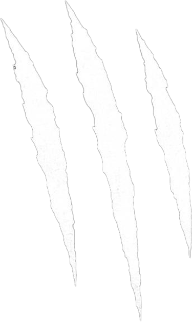 GRIFFY STREETWEAR logo