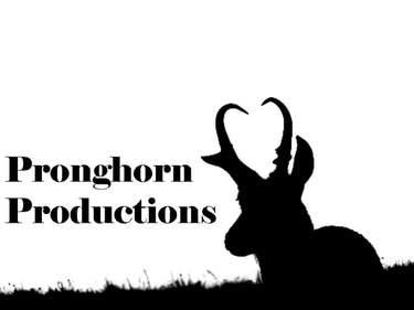 Sonoran Desert Movie logo