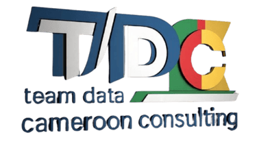 Team Data Cameroon logo