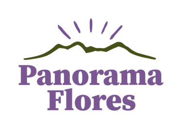Flores Holambra logo