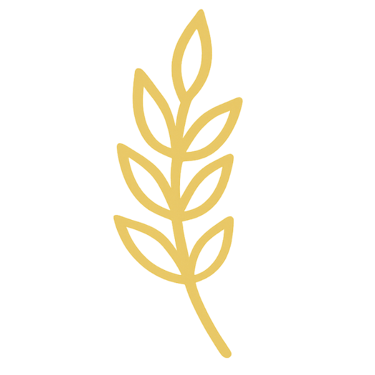 App Pão nosso Diário logo