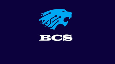BCS Sécurité Électronique logo