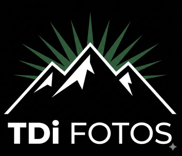TDi Fotos logo