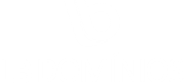 LB Domínios logo