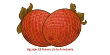 Aguaje logo