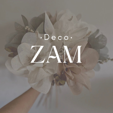 DecoZam logo