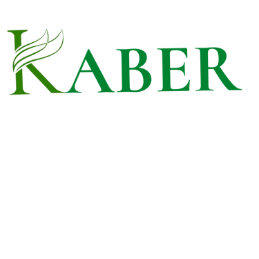 Zenith Wellness logo