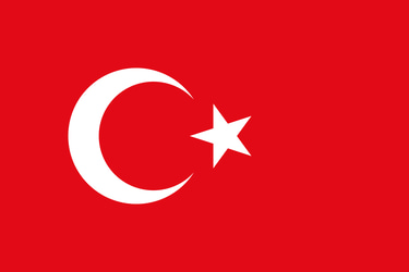 Official Turkish Grammar, Vocabulary and Culture Course logo