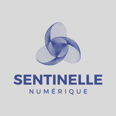 Sentinelle Numérique 29 logo