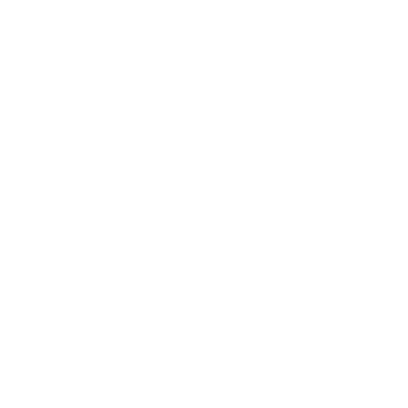 Eleven Flow logo